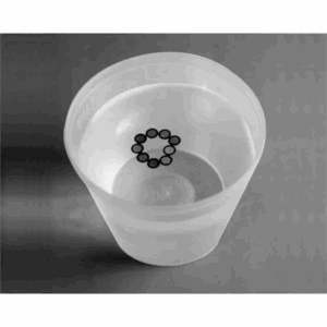 Polypropylene Specimen Cups - Static-Free - Graduated
