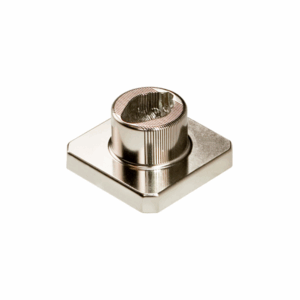 Brain Matrices, Ferret