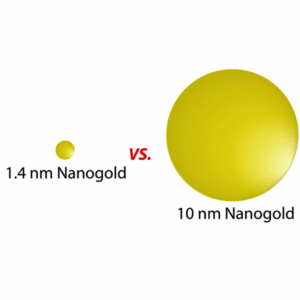 1.4nm Nanogold Secondary Antibody
