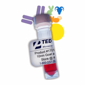 Antibody Gold Conjugates