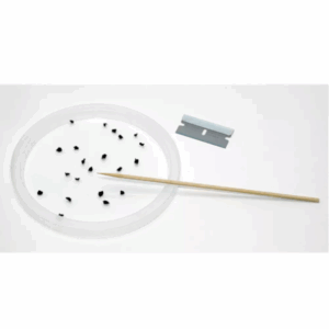 Tissue Mincing Dish, 4" OD (10cm)