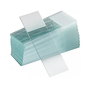 Microscope Slides
