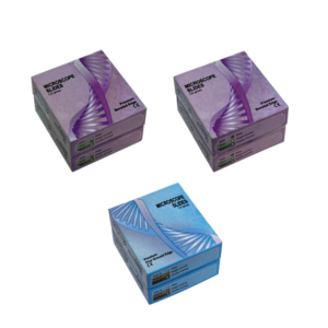 Economy Microscope Slides