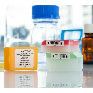 Embedding & Sectioning