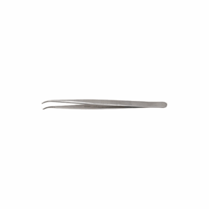 Dissecting Forceps
