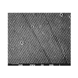 Grating Replica, Waffle