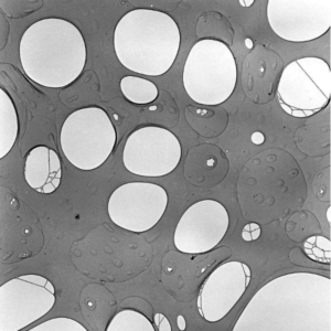 "Holey" (Perforated) Carbon Film