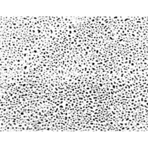 Evaporated Platinum / Iridium