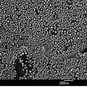 Ultra High Resolution Gold on Carbon Spec. 3