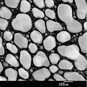 Low Voltage Resolution Gold on Carbon Spec. 4
