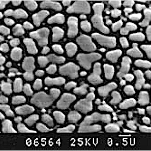 Medium Resolution Gold on Carbon Specimen 5
