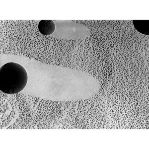 PELCO AFM Tip and Resolution Test Specimen