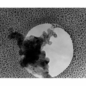 Combined TEM Test Specimen - Gold / Graphitized Carbon