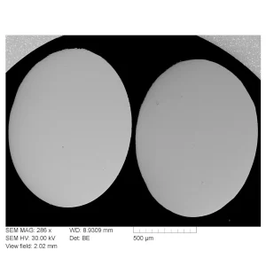 Back Scattered Electron Test