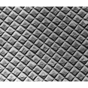 500nm Magnification Calibration Diffraction Grating Replica