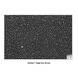 AuSome Resolution Test