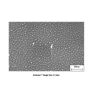 AuSome Single Size 27.3nm Gold Particles Standard