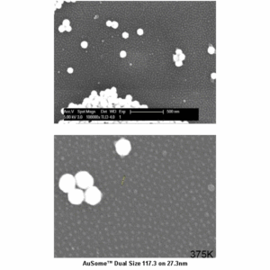 AuSome Dual Size Standard