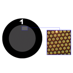 Ultra Fine Hexagonal 1500 Mesh