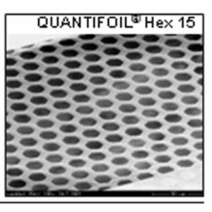 Quantifoil Substrate Hexagonal Holes