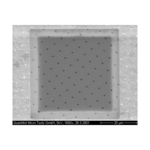 Quantifoil Array of 1 m Round Holes R1/4