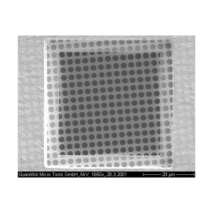 Quantifoil Array of 1 m Round Holes R1/2