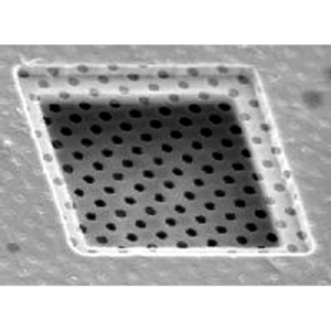 Quantifoil Array of 2 m Round Holes R2/1