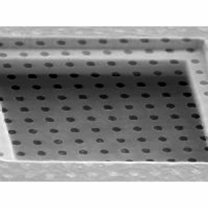 Quantifoil Array of 2 m Round Holes R2/4