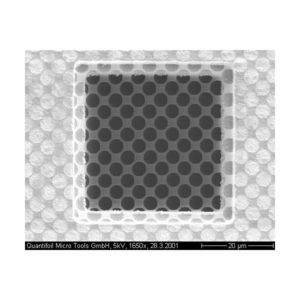 Quantifoil Array of 3,5 m Round Holes R3,5/1