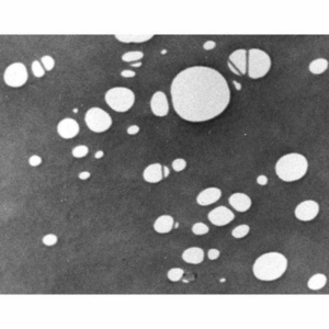 Perforated carbon film, 3.05mm grid